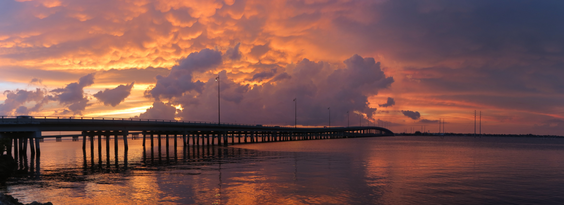 web cover (3)